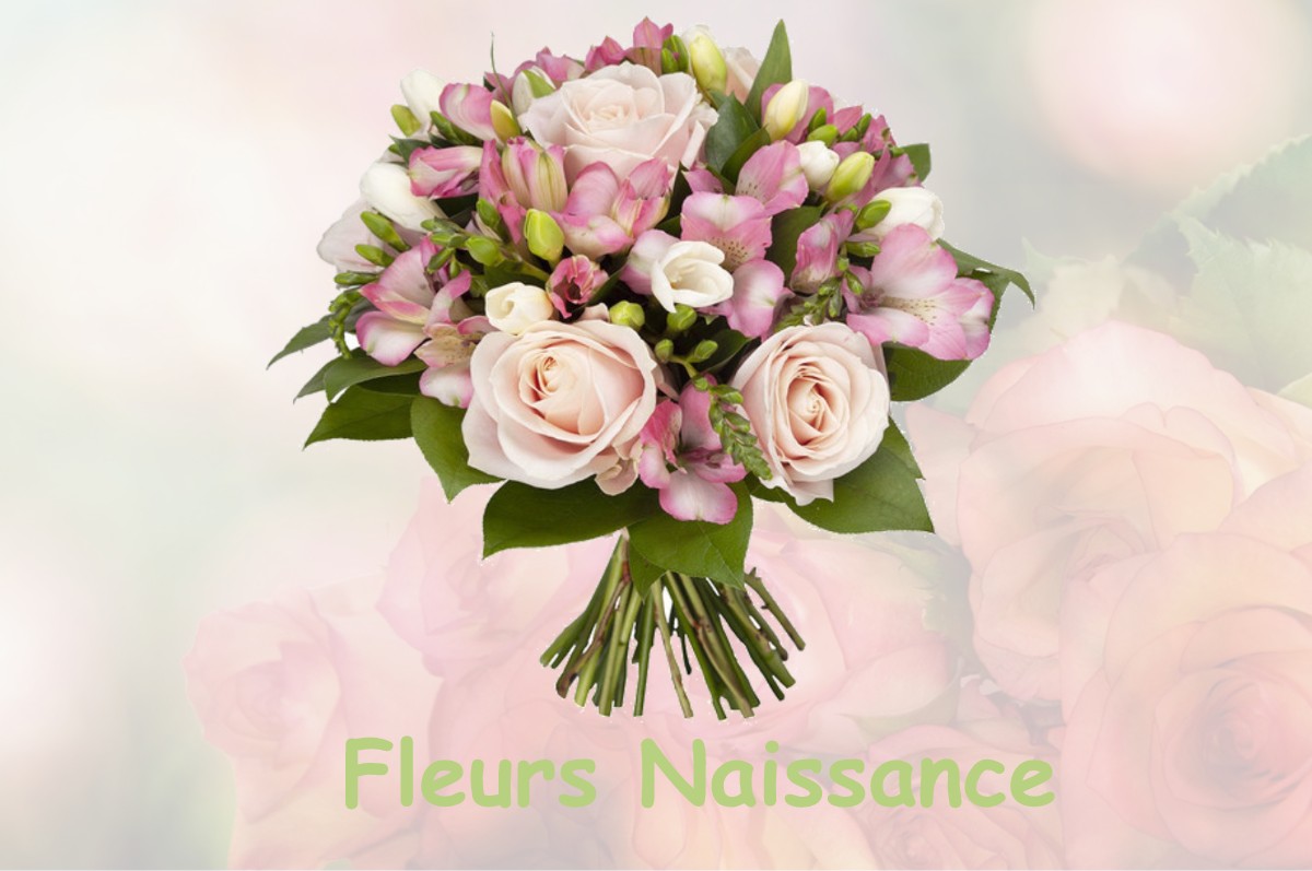 fleurs naissance SAINT-CRESPIN-SUR-MOINE