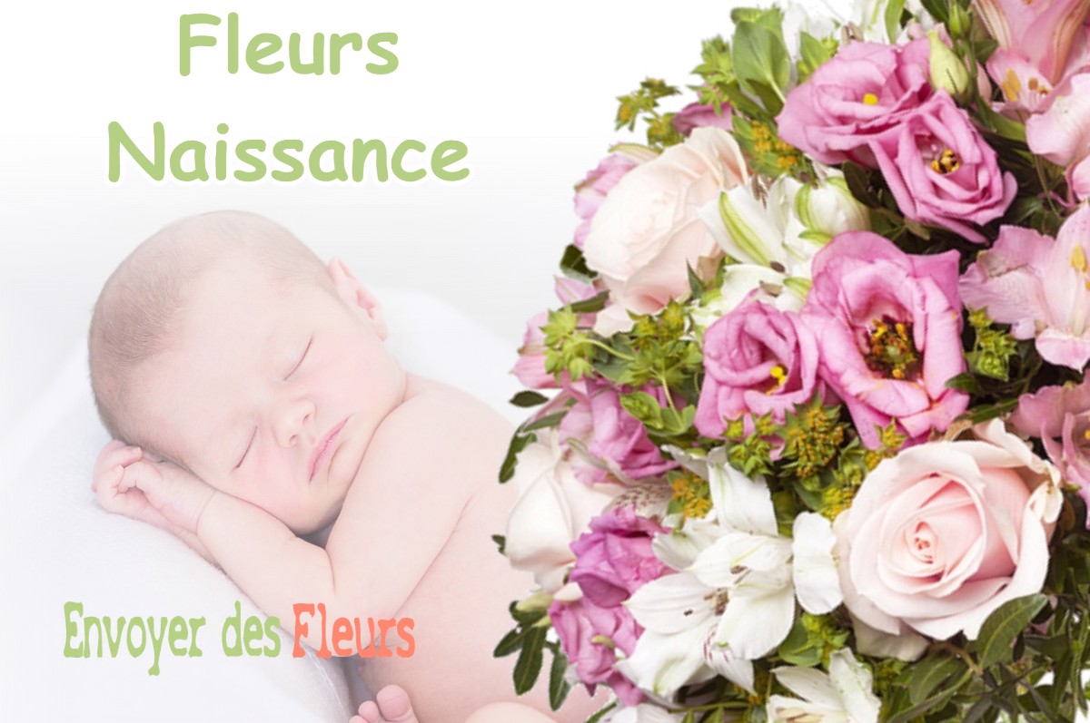 lIVRAISON FLEURS NAISSANCE à SAINT-CRESPIN-SUR-MOINE